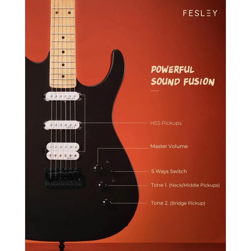 Fesley FST350M